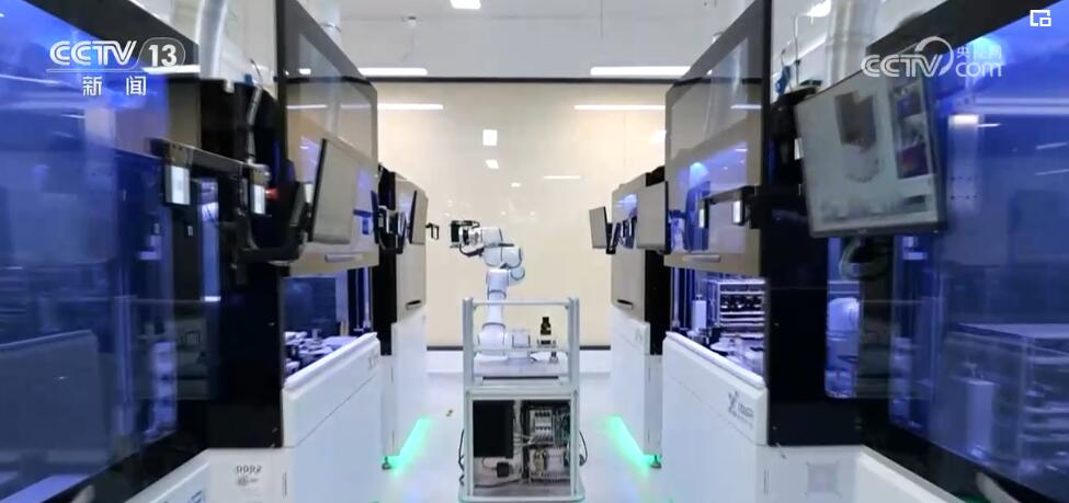 万象更新 多领域融合发展迸发活力，互联网技术服务跑出高质量发展新速度